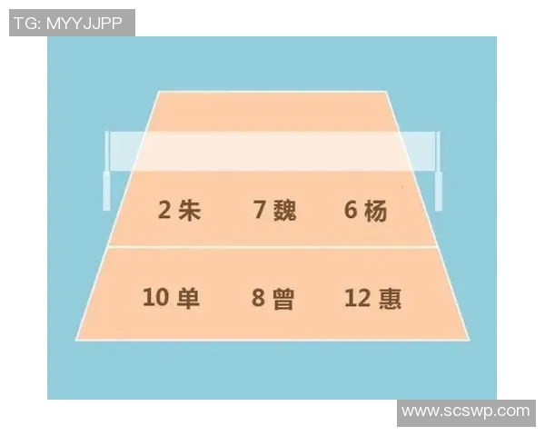 成都排球队整体压制战术解析与实战应用探讨